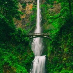 waterfall View from Train